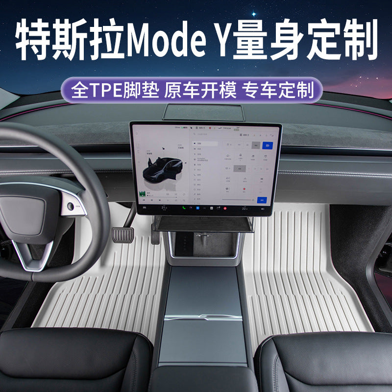For 25 model Y TPE