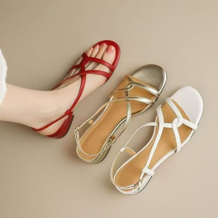 Women's New