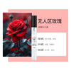 VKN抖音直播爆款对对碰香水小样10ml厂家直销拿货批发持久留香水