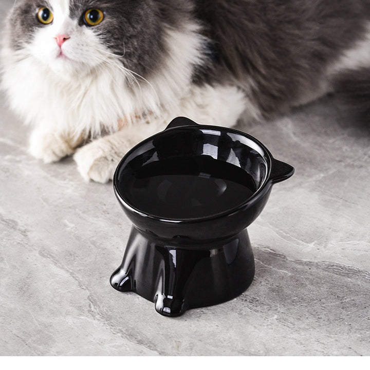 Bowl Cat Black Cat Bowl Cat Pet Bowl Bowl Bowl