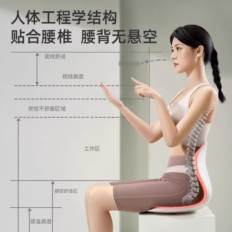 Waist Support Cushion Office