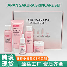 源头工厂跨境SKINCARE保湿抗皱抗氧改善暗沉精华面霜面部护理套装