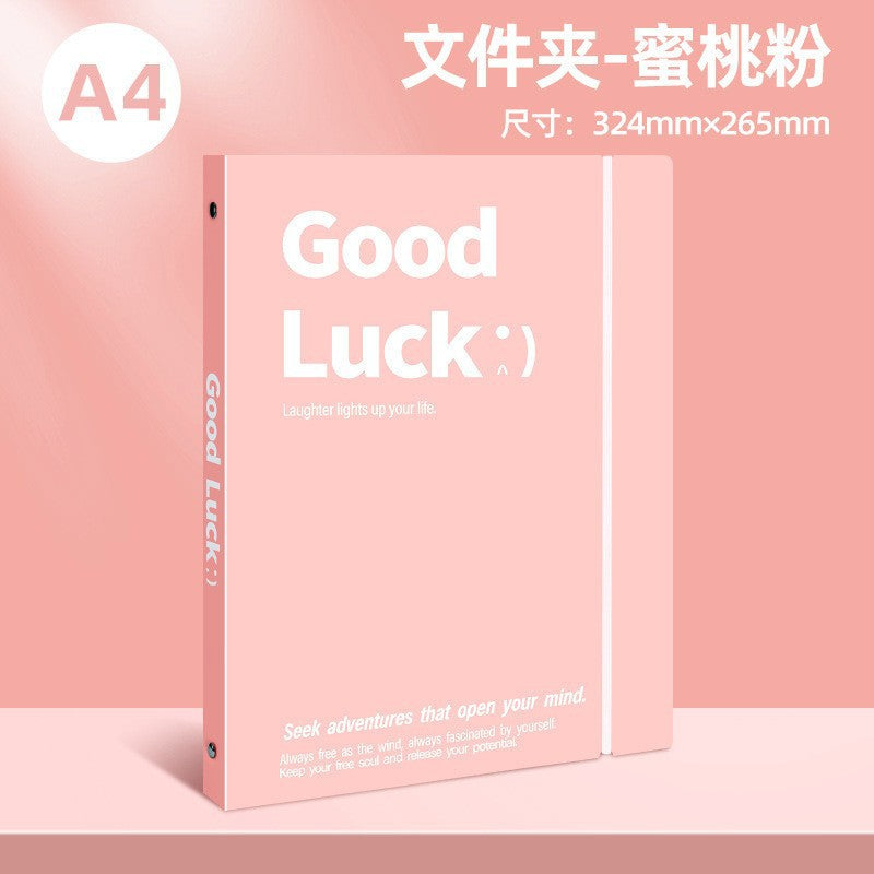 办公收纳整理活页文件夹a4加厚透明资料袋学习资料试卷收纳册批发