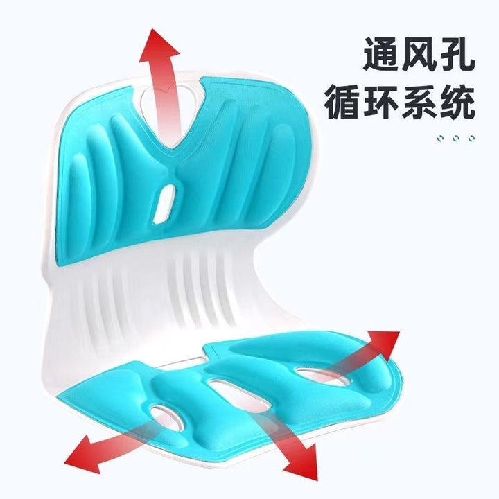 Waist Support Cushion Posture Office