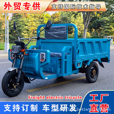 电动三轮车外贸出口家用代步车拉货农用货运车大功率电瓶车载重王