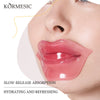 亚马逊爆款跨境英文唇膜批发Labial membrane 芦荟蓝莓水果唇膜贴