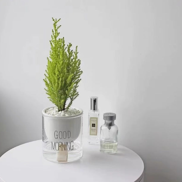 Light Small Office Gift Gift