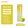 批发head海德网球一筒4个球装W6H网球比赛训练用球高弹性TEAM系列