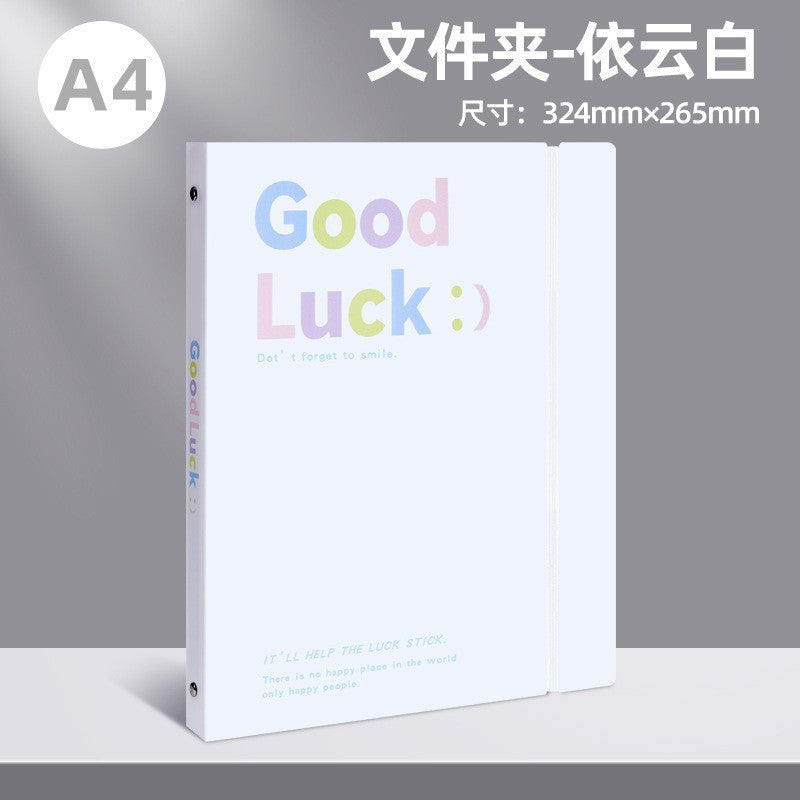 办公收纳整理活页文件夹a4加厚透明资料袋学习资料试卷收纳册批发