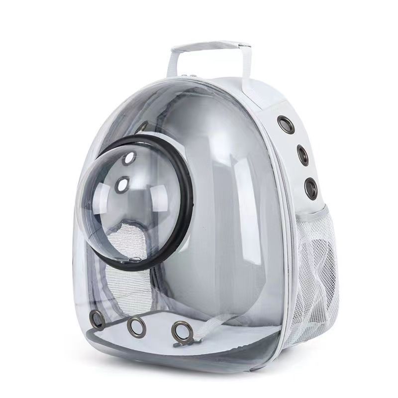 New Pet Cat Portable Transparent Pet Cat Cat