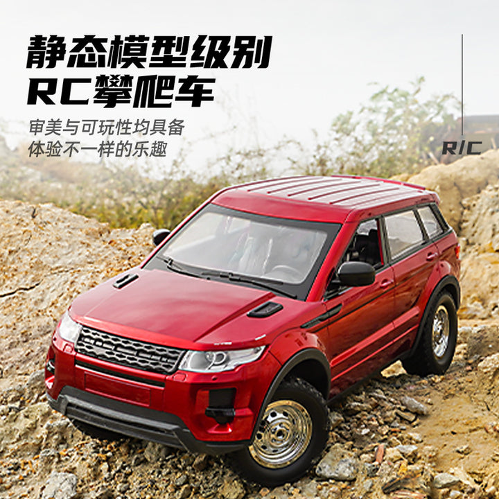 LD 1299 1:14 RC CAR