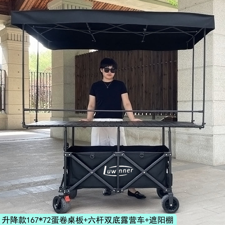 Auto Car - ZYL-0710