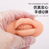 欧洲雾唇3d模块唇膜纹绣仿真硅胶唇块半永久初学者练习工具用品