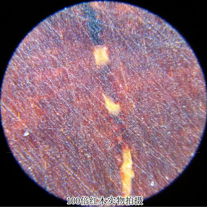 100倍双管学生户外课堂科教学实验显微镜LED灯古董瓷器鉴定放大镜