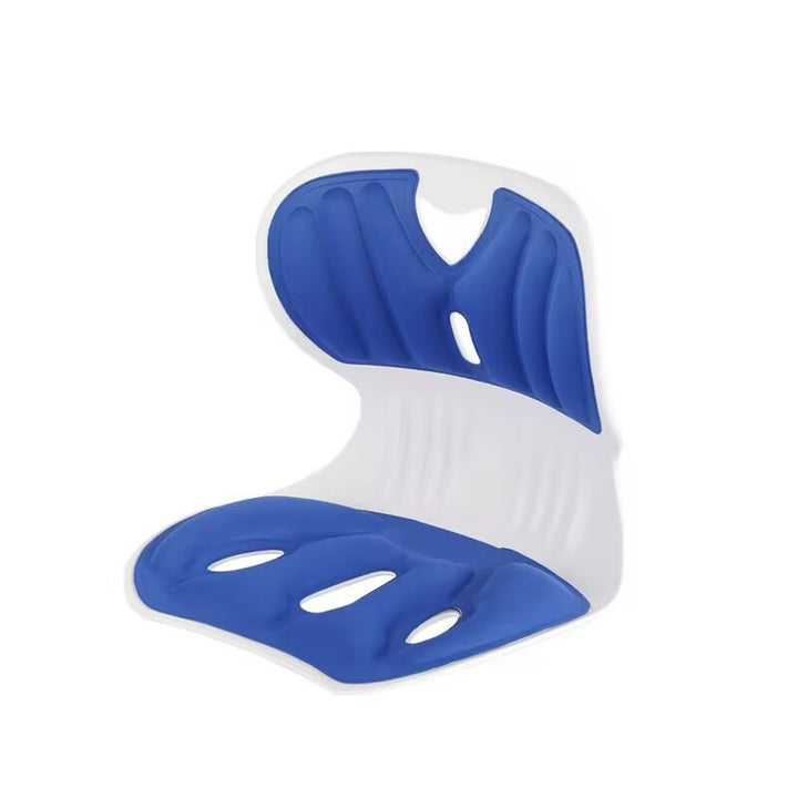 Waist Support Cushion Posture Office