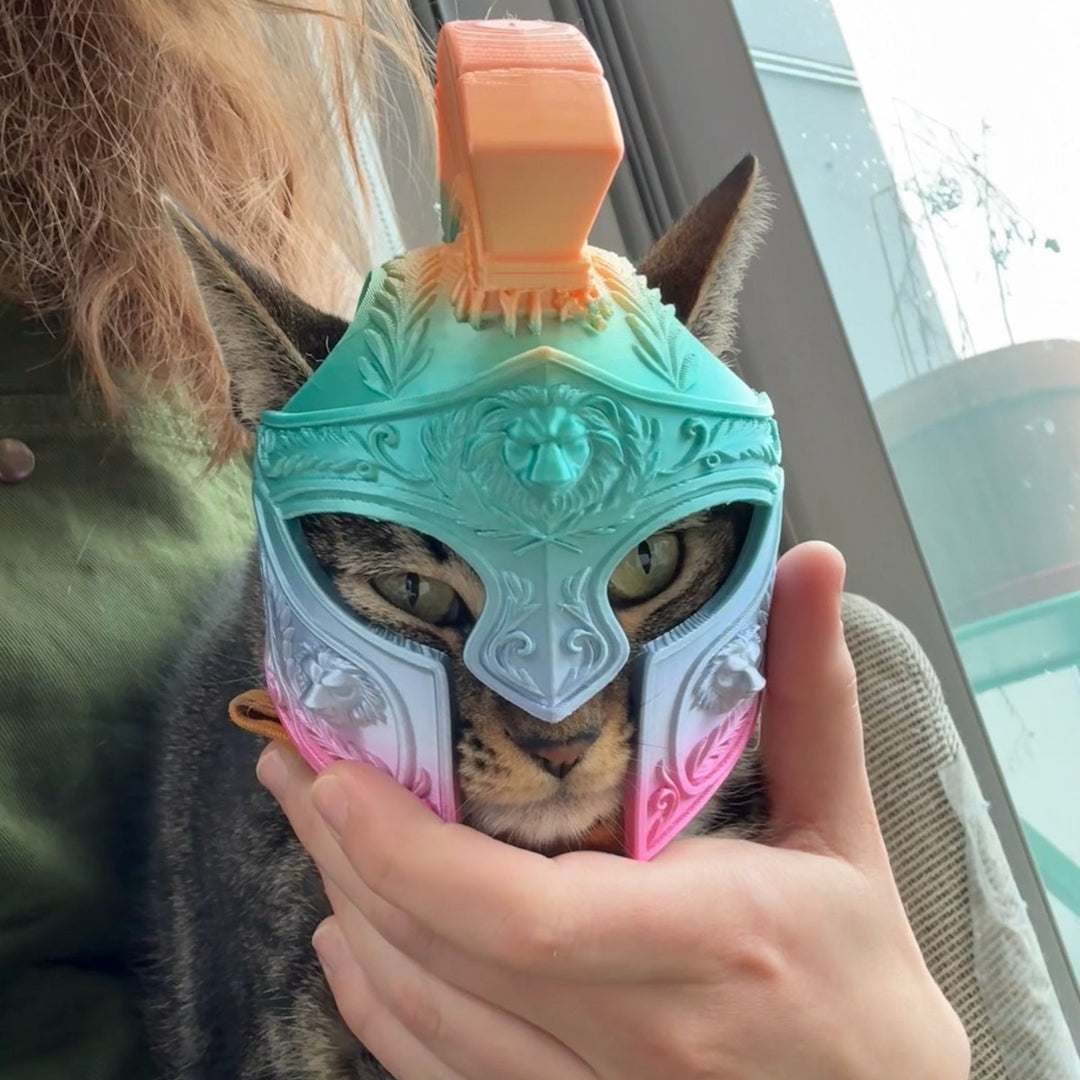 Helmet Roman centurion cat helmet