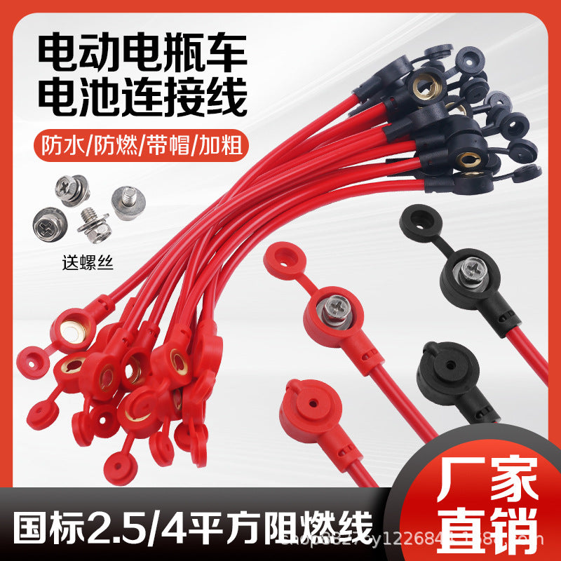 Electric Vehicle 48 v 60 72 v
