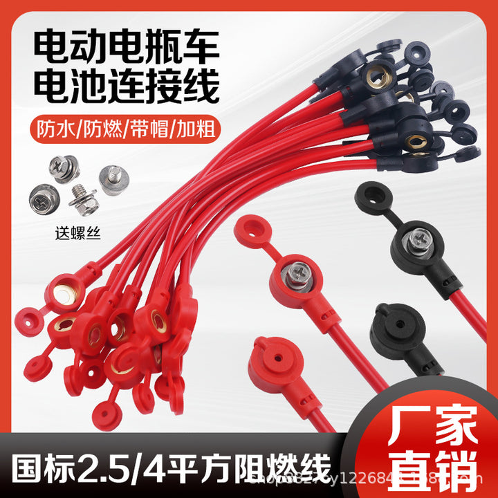 Electric Vehicle 48 v 60 72 v