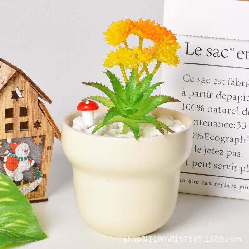 Factory Wholesale Ceramic Small Large Ceramic
