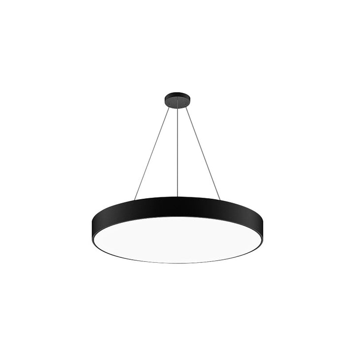 Solid Round LED Pendant Light Modern Indoor Commercial Lamp