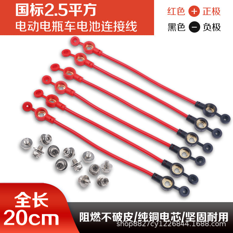 Electric Vehicle 48 v 60 72 v