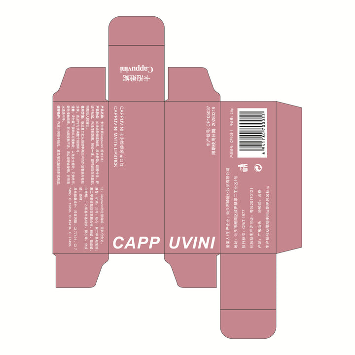 Cappuvini透明亚克力口红 跨境学生党彩妆哑光化妆品裸色系口红