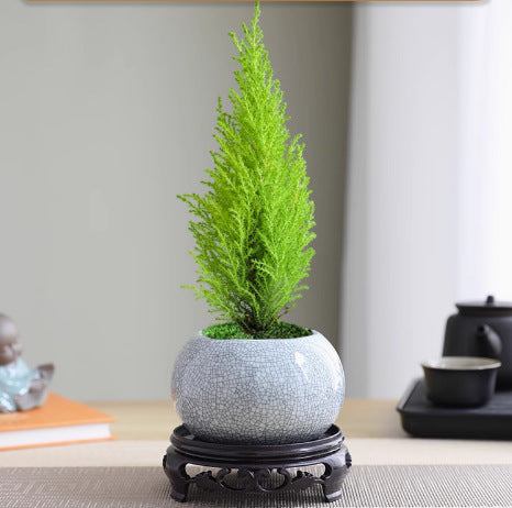 Light Small Office Gift Gift