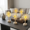 LED Acrylic Atmosphere Night Lamp – Creative Luxury Bedroom Bedside Desk Decoration Light