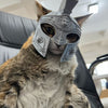罗马百夫长猫头盔猫咪角色扮演用具 Roman centurion cat helmet