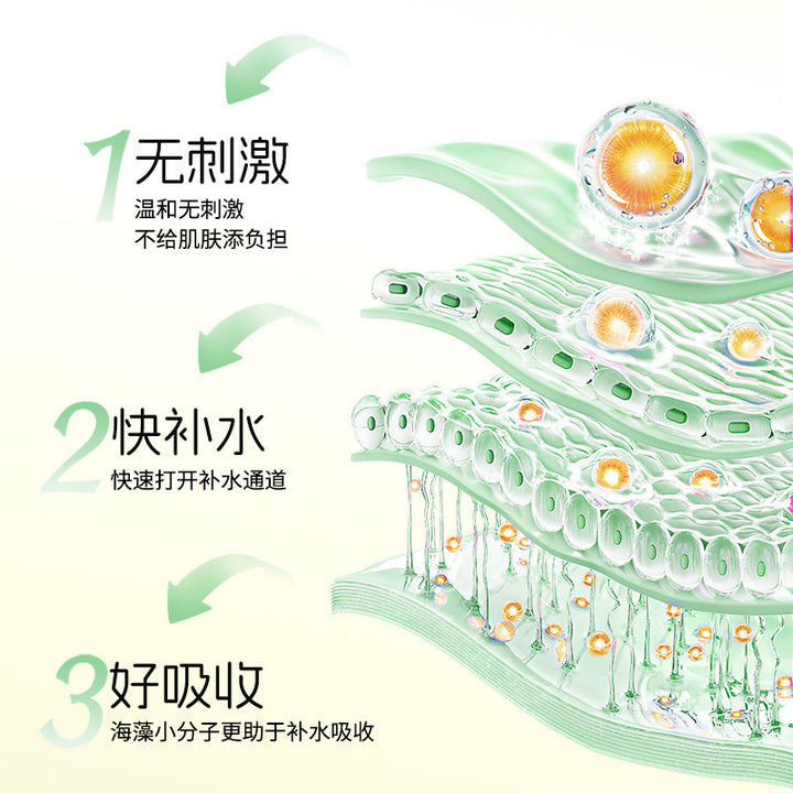 一般贸易 泰国annabella安娜贝拉海藻面膜滋润补水保湿滋润提拉