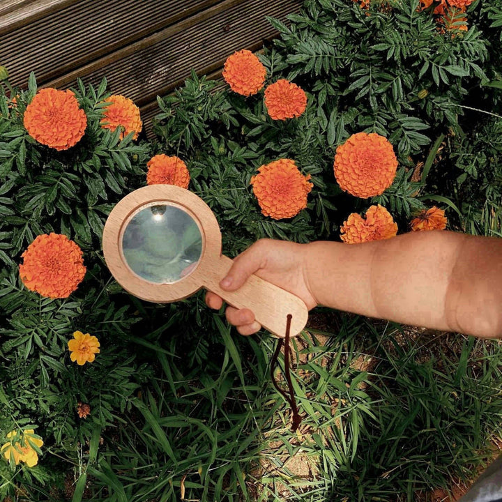 Children's Outdoor Insect Observation Box – Nature Explorer Kit for Kids