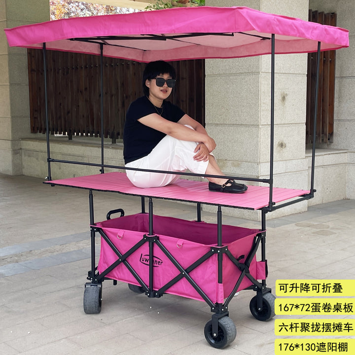 Auto Car - ZYL-0710