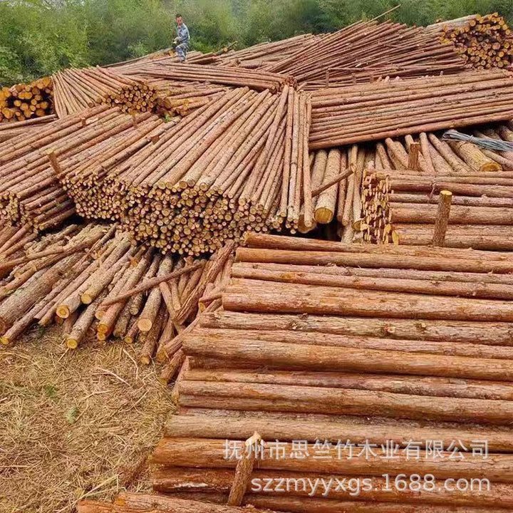 Wholesale Premium