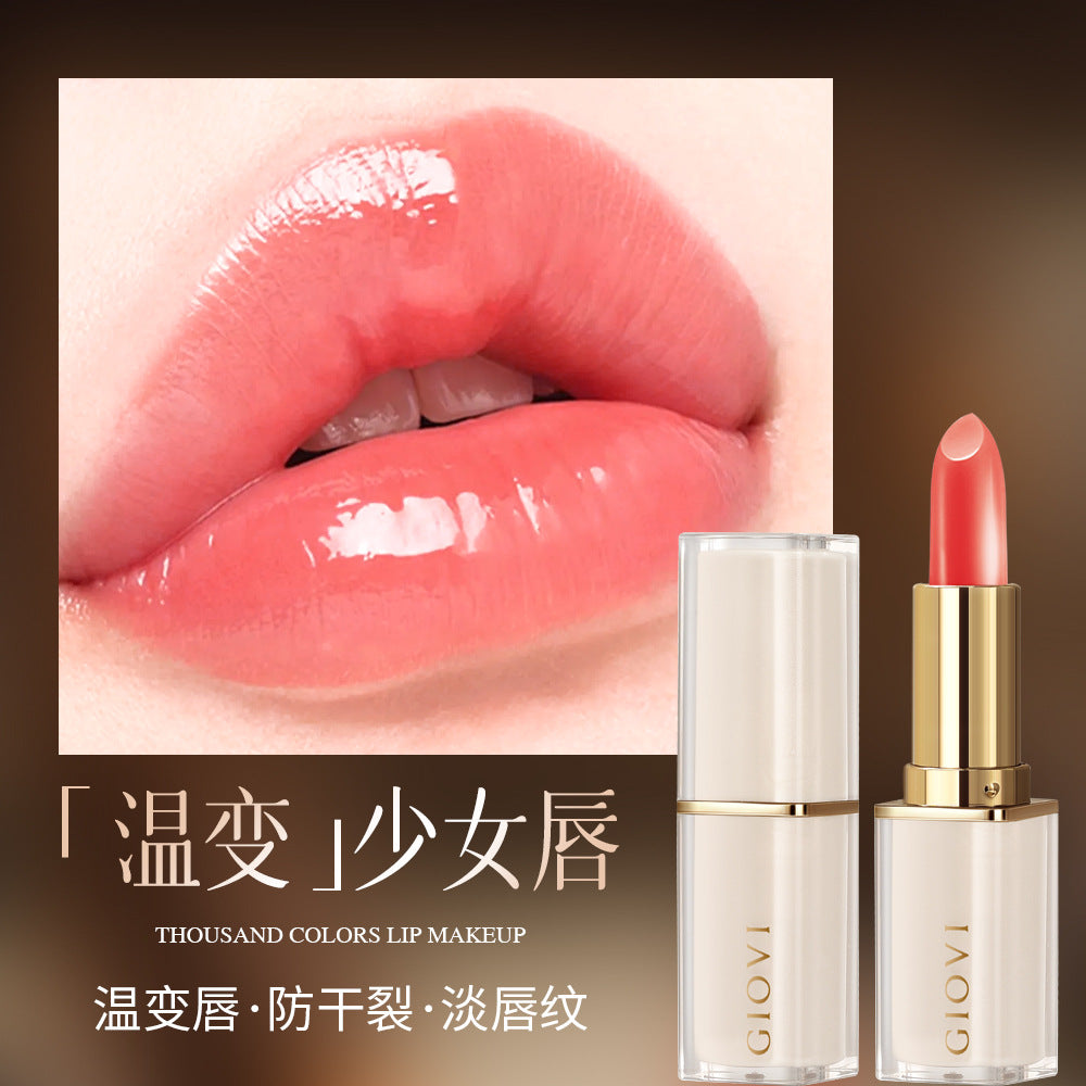 Lip Balm Moisturizing Lipstick Cup Premium Design
