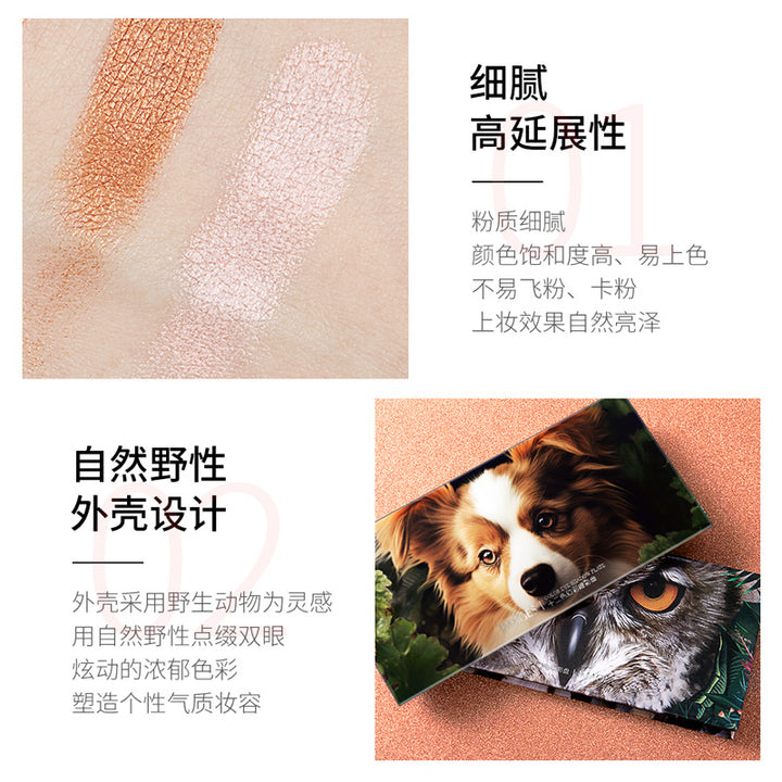 形象美丛林十二色眼影盘色泽靓丽 不易脱妆眼影彩妆批发
