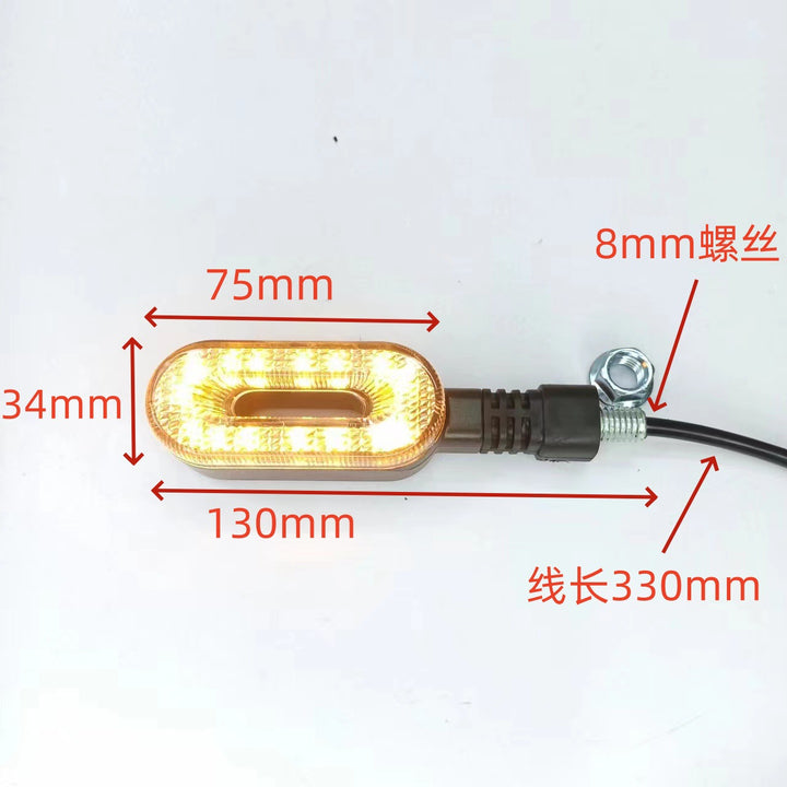 EV Motorcycle 12 v LED Universal