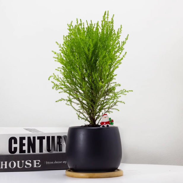 Light Small Office Gift Gift