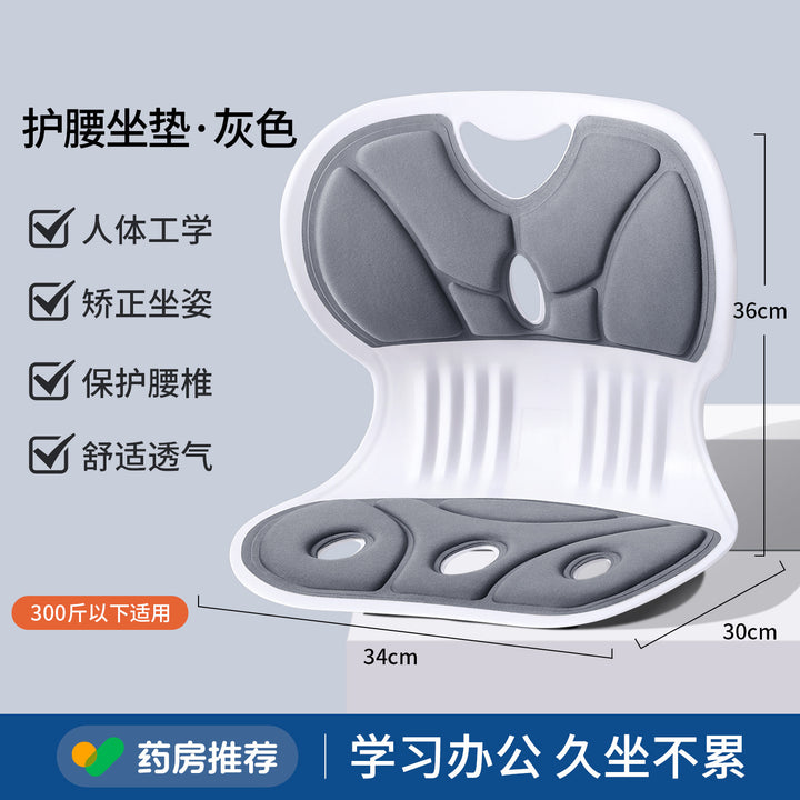 Waist Support Cushion Office