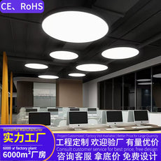Solid Round LED Pendant Light Modern Indoor Commercial Lamp