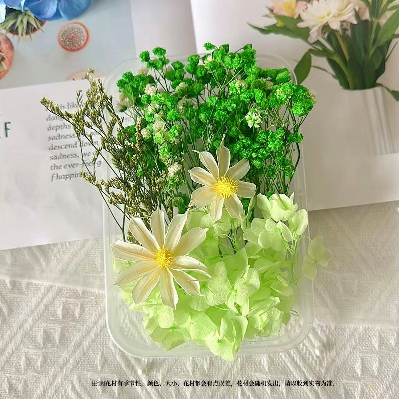 Dried Flowers Eternal Flowers Handmade Exquisite Material Kit Wreath Dried Flowers Trees Hydrangea Decoration Eternal Dried Flowers Material