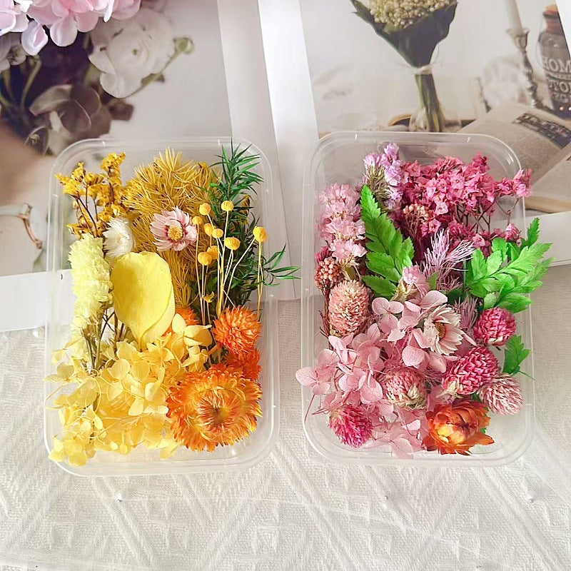 Dried Flowers Eternal Flowers Handmade Exquisite Material Kit Wreath Dried Flowers Trees Hydrangea Decoration Eternal Dried Flowers Material