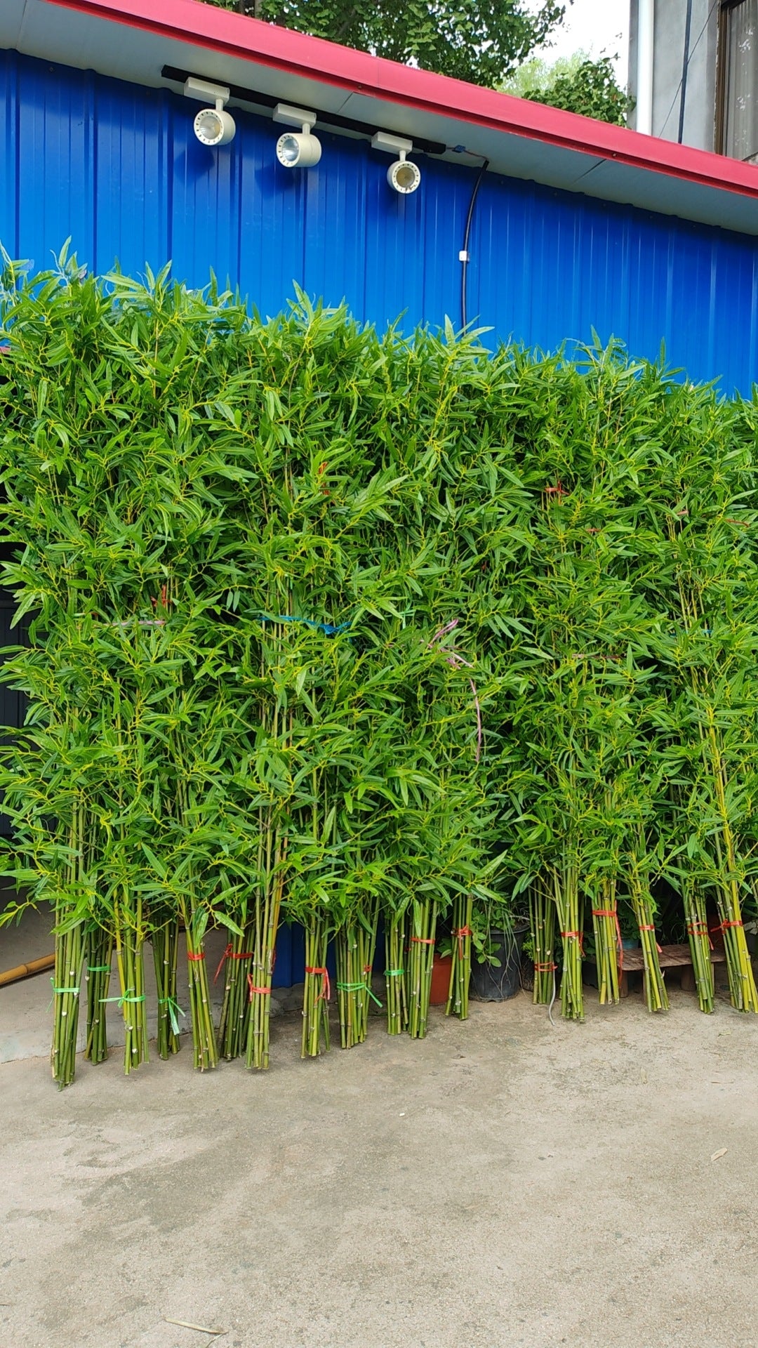 Artificial Bamboo Fake Bamboo Hotel Restaurant Home Indoor Partition Decoration Wholesale Green Plant