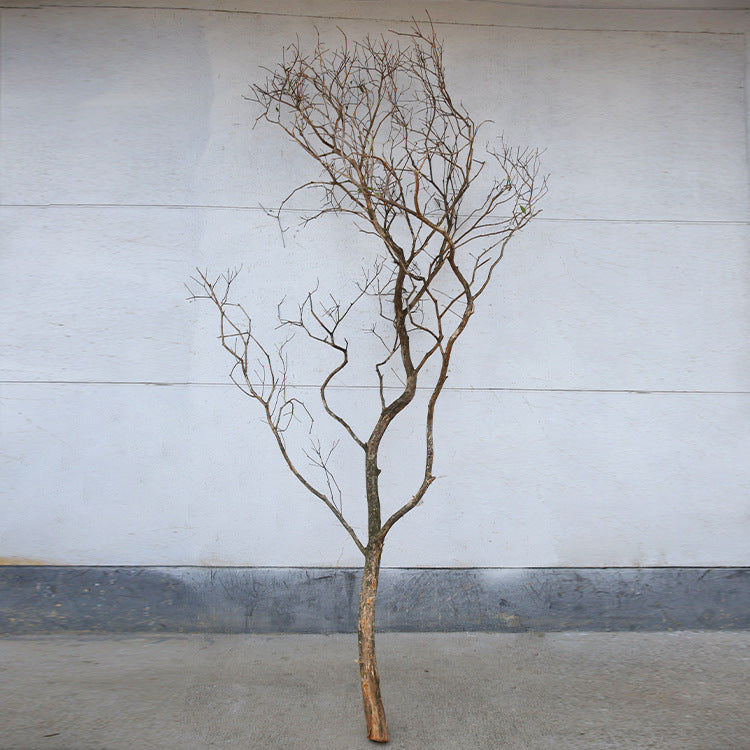 Large Artificial Drunken Horse Tree Decorative Real Tree Trunk Yellow Cypress Tree Large Floor-standing Landscaping Decorative Dry Branches