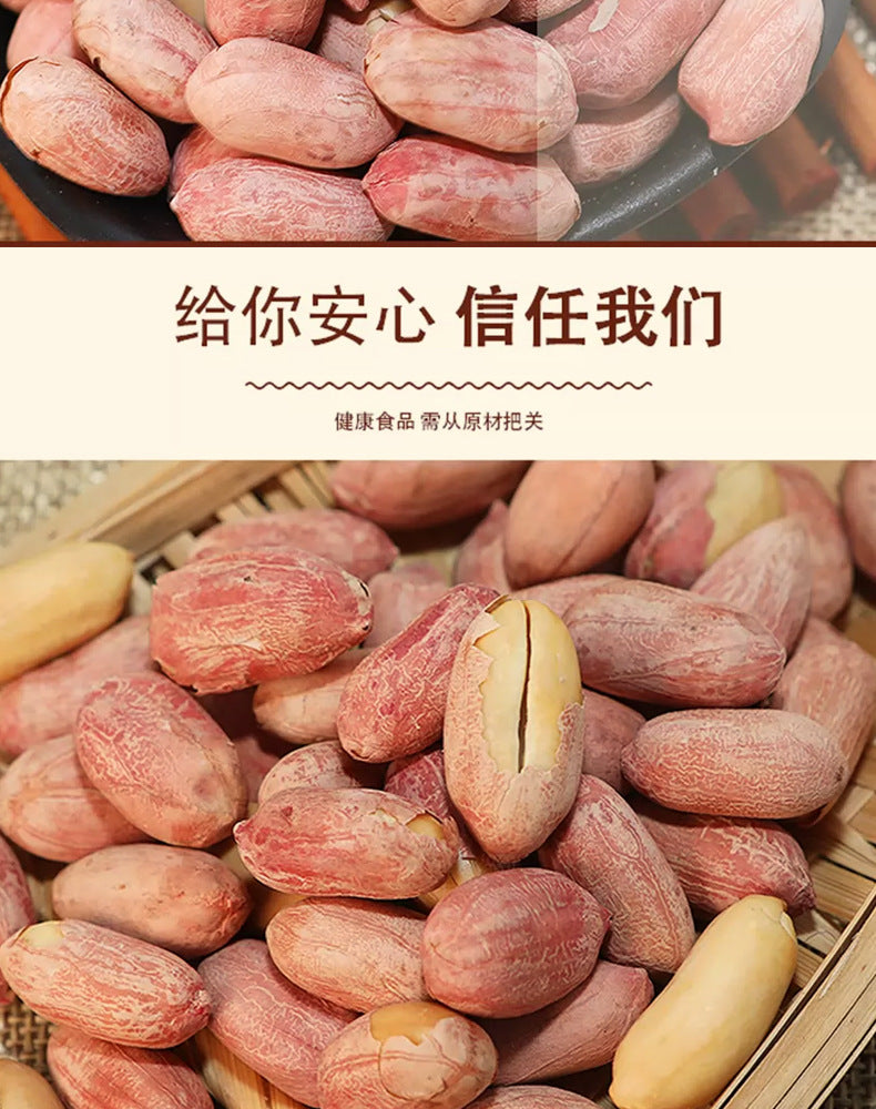 Five-Spice Peanut Snacks100Kedai New Stock Roasted Snacks for Wine Lovers, Various Flavors, Wholesale Available from Factory Source