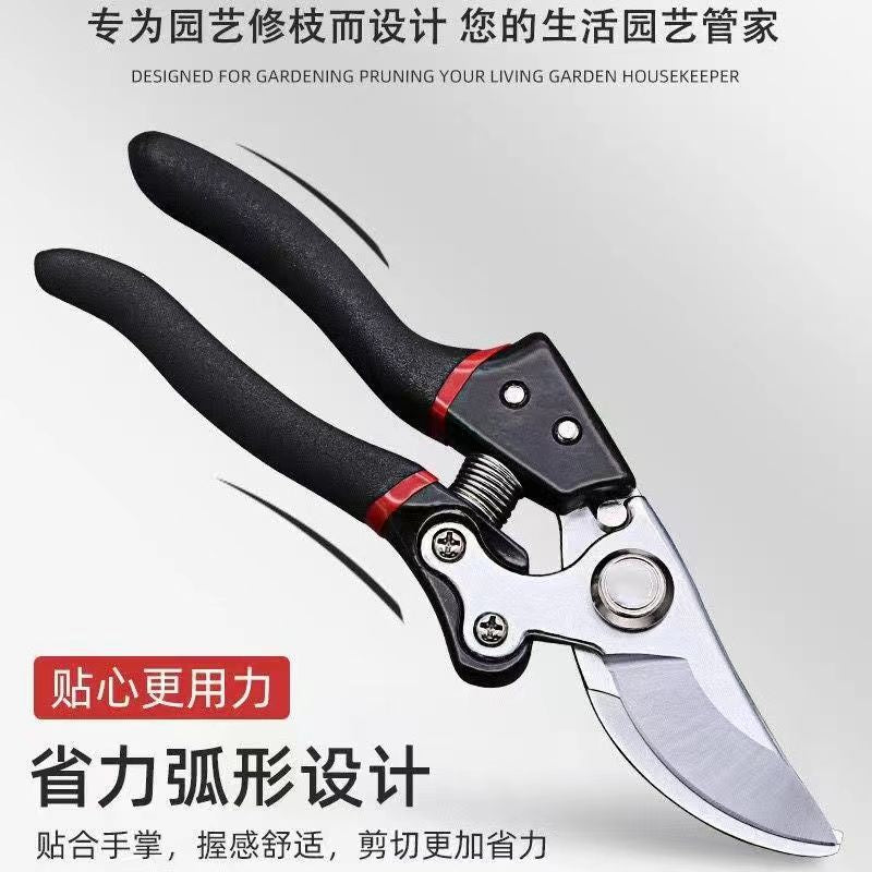 Home Fruit Tree Pruning Shears, Flower Pruning, Fruit Picking, Branch Shears, Greening Grafting, Pruning, Gardening Shears