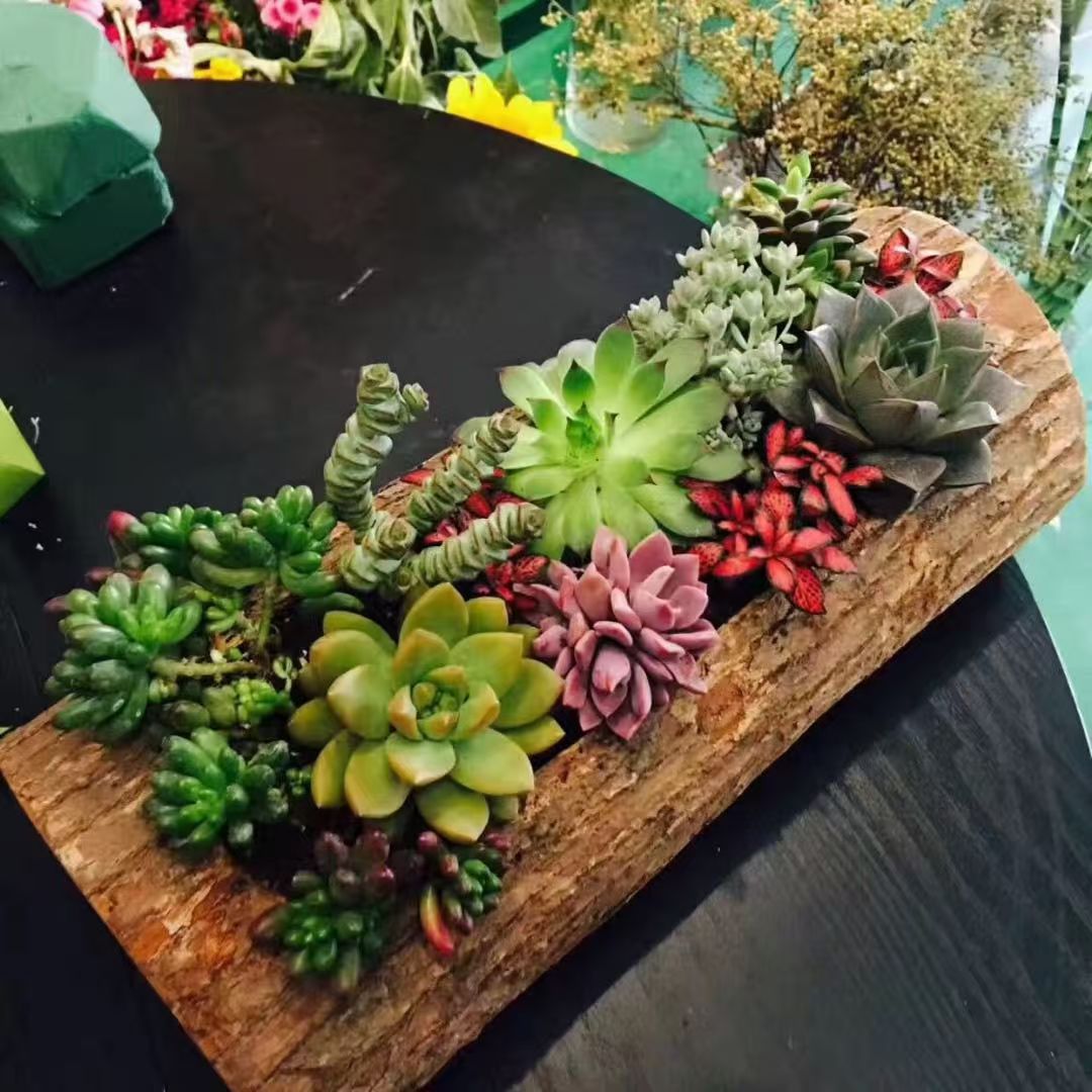 Wooden Flower Pot Succulent Planter Solid Wood Flower Pot Real Wood Flower Pot Wall Hanging Wooden Flower Pot Internet Celebrity Shooting Props