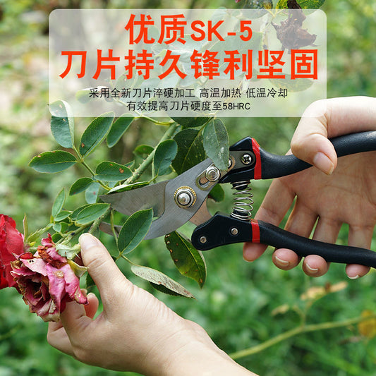 Home Fruit Tree Pruning Shears, Flower Pruning, Fruit Picking, Branch Shears, Greening Grafting, Pruning, Gardening Shears