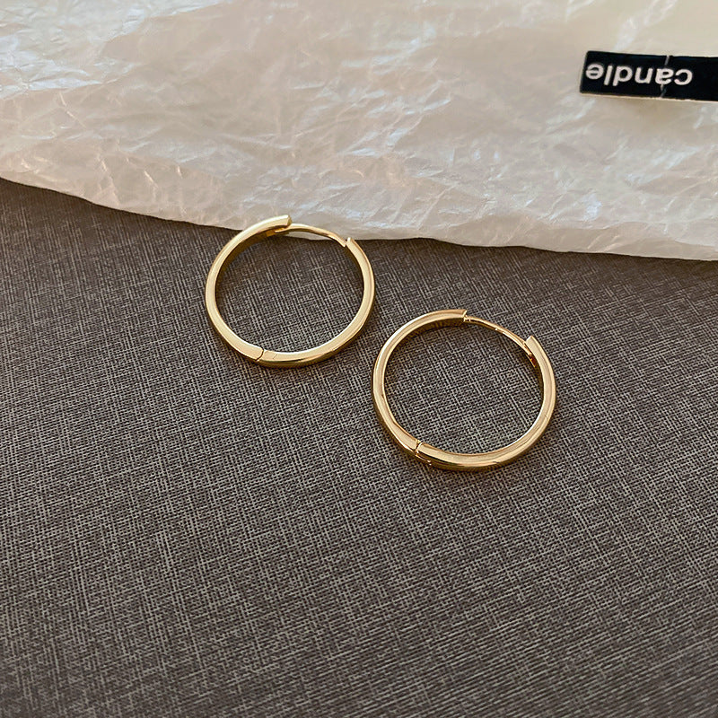 Silver Needle Metal Earrings High-end Simple Stud Earrings Fashion Versatile Light Luxury Unique Niche Earrings Yiwu Wholesale