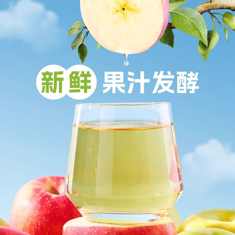 Hesilu Apple Cider Vinegar490ml*15bottle100%Juice Fermented Apple Cider Vinegar Leisure Office Beverage Wholesale by the Case