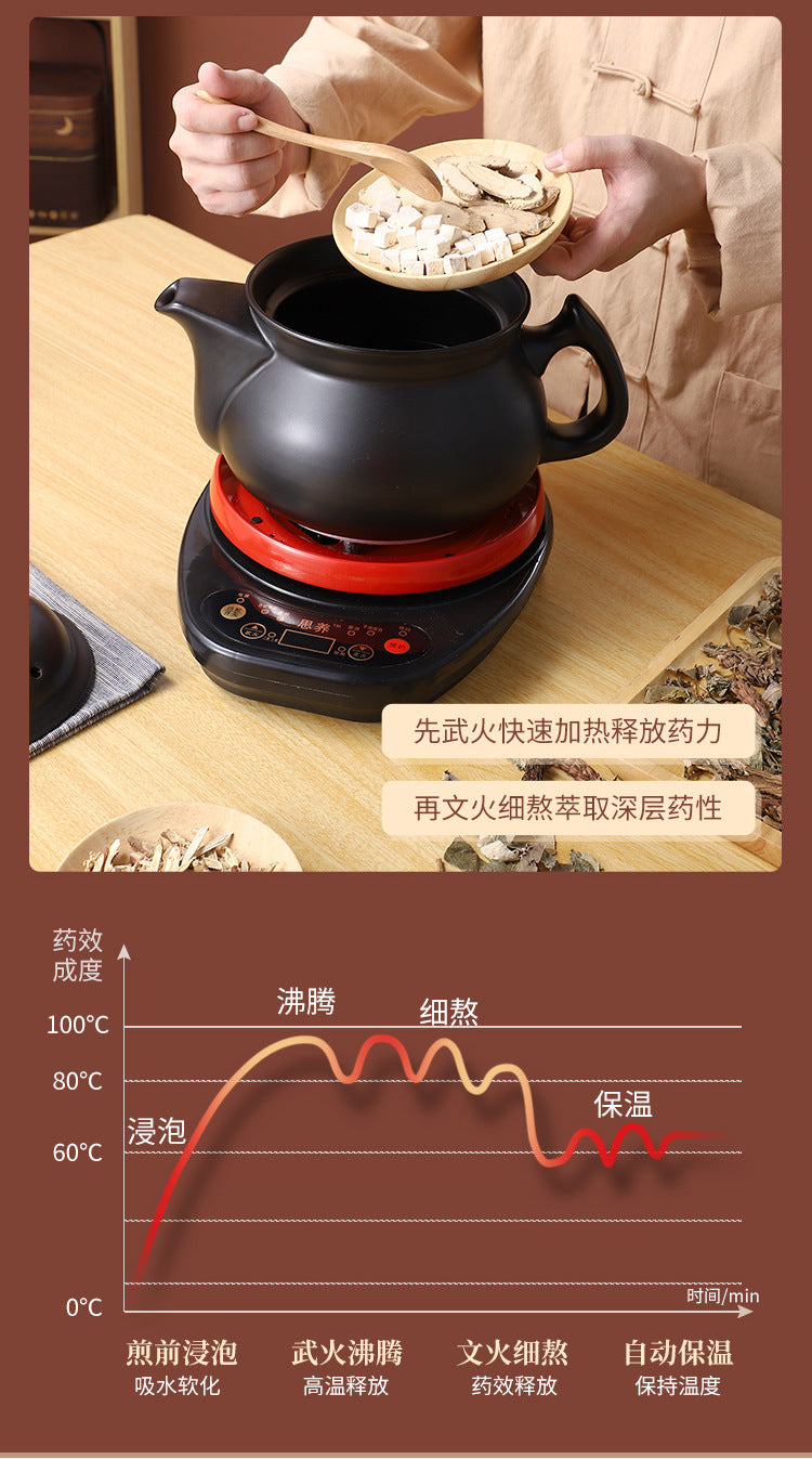110V Large Capacity Decoction Pot Automatic Health Pot Ceramic Electric Clay Pot for Traditional Chinese Medicine Home Use